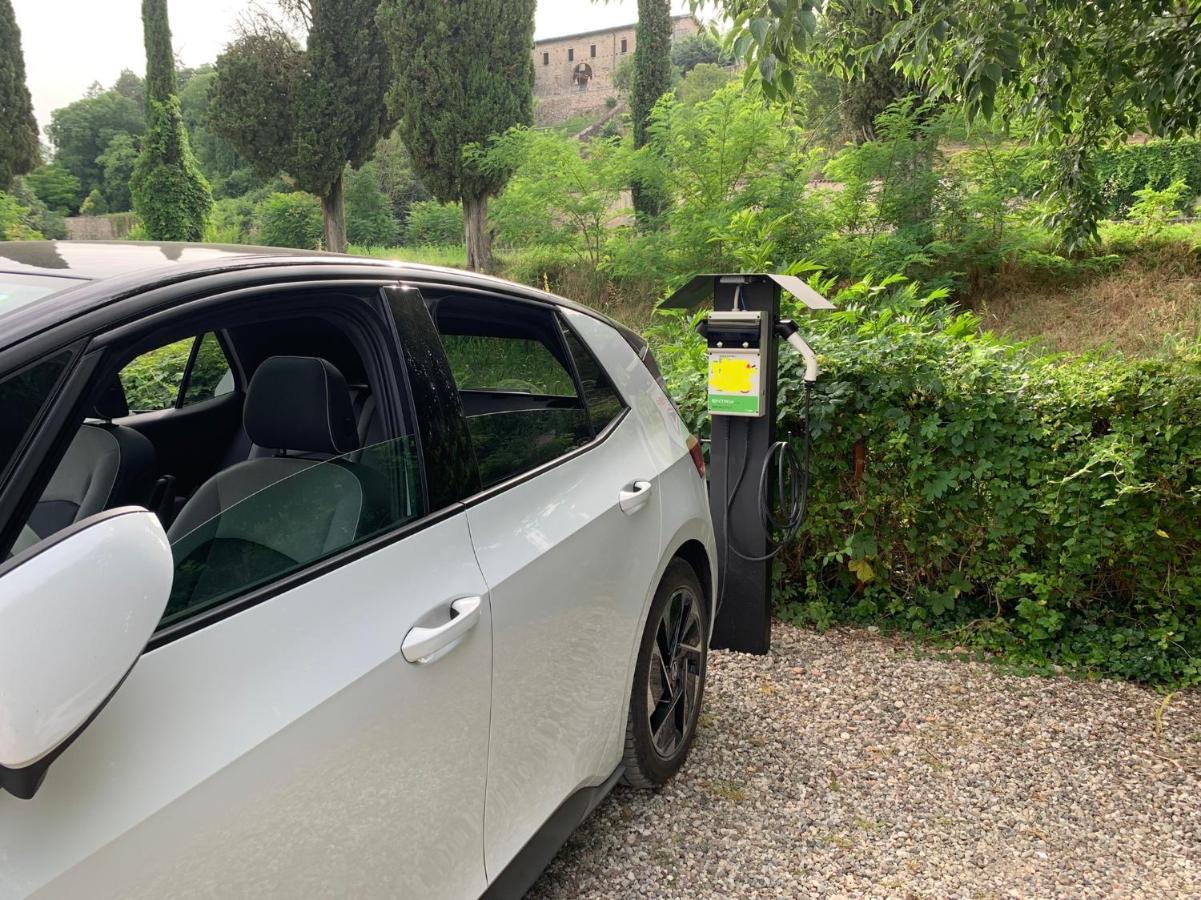 L'Isolo B&B E Case Vacanza Monzambano Exteriér fotografie