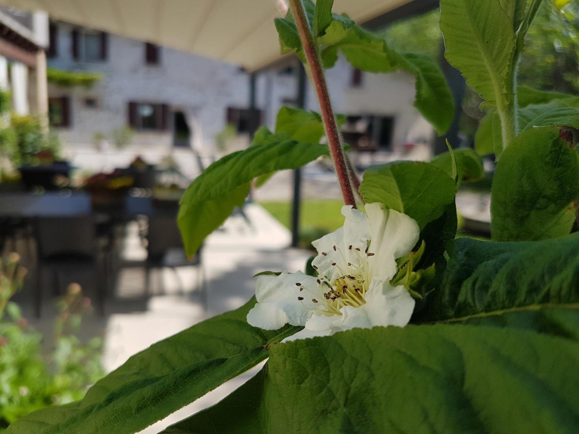 L'Isolo B&B E Case Vacanza Monzambano Exteriér fotografie